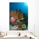 Colorful Reef Scene with Wall Decal Design 2