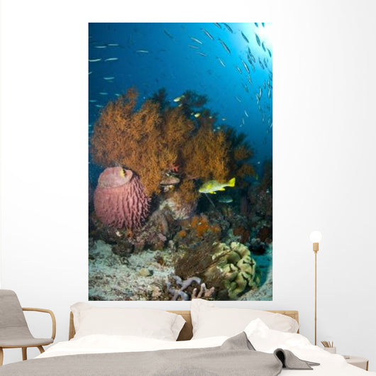 Colorful Reef Scene with Wall Decal Design 2