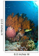 Colorful Reef Scene with Wall Decal Design 2