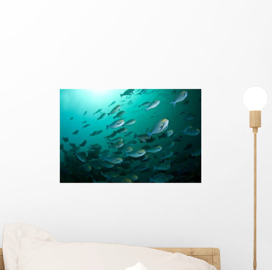 School Yellow Masked Surgeonfish Wall Decal