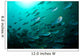 School Yellow Masked Surgeonfish Wall Decal