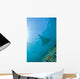 Group Manta Rays Blue Wall Decal