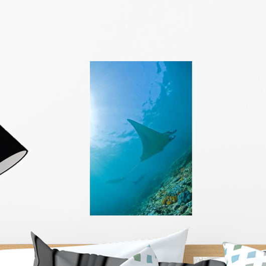 Group Manta Rays Blue Wall Decal