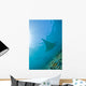 Group Manta Rays Blue Wall Decal