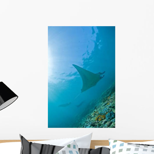 Group Manta Rays Blue Wall Decal