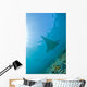 Group Manta Rays Blue Wall Decal