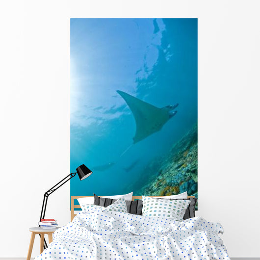 Group Manta Rays Blue Wall Decal