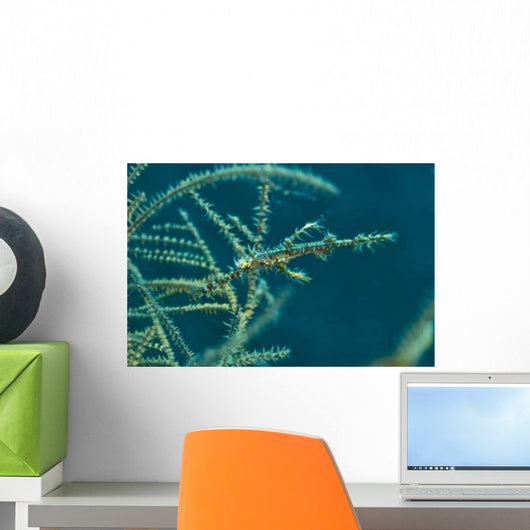 Ghost Pipefish amongst Yellow Wall Decal