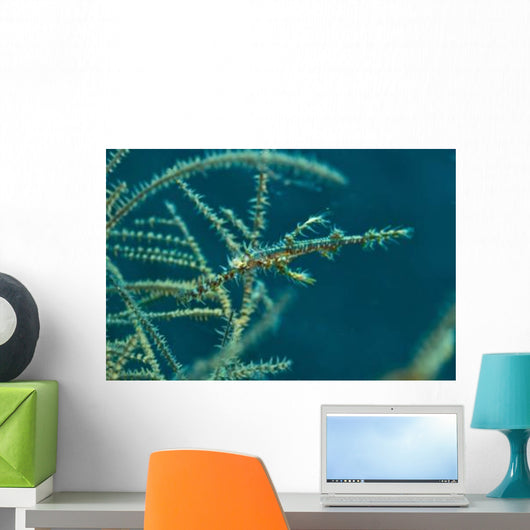 Ghost Pipefish amongst Yellow Wall Decal