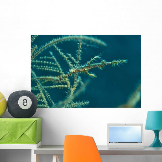 Ghost Pipefish amongst Yellow Wall Decal
