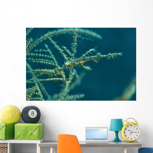 Ghost Pipefish amongst Yellow Wall Decal