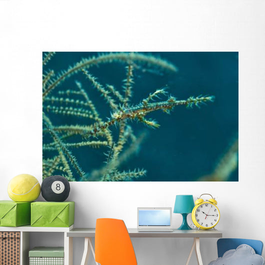 Ghost Pipefish amongst Yellow Wall Decal