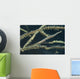Sawtooth Shrimp Yellow Black Wall Decal