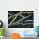 Sawtooth Shrimp Yellow Black Wall Decal