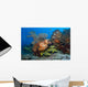 Colorful Reef Scene with Wall Decal Design 1