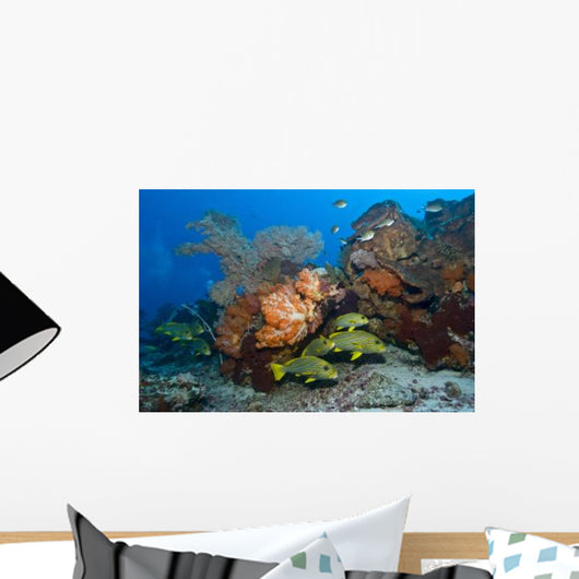 Colorful Reef Scene with Wall Decal Design 1