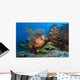 Colorful Reef Scene with Wall Decal Design 1