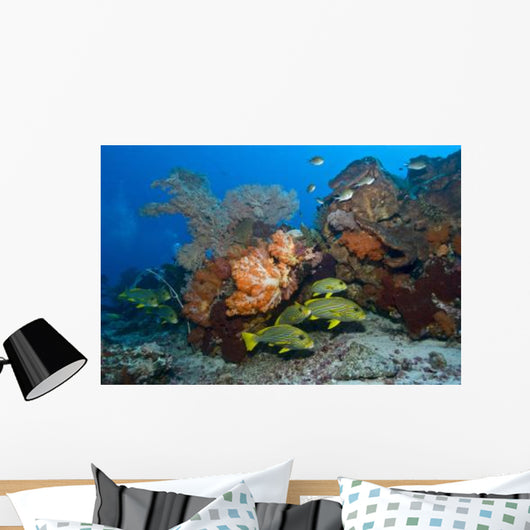Colorful Reef Scene with Wall Decal Design 1