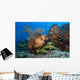 Colorful Reef Scene with Wall Decal Design 1