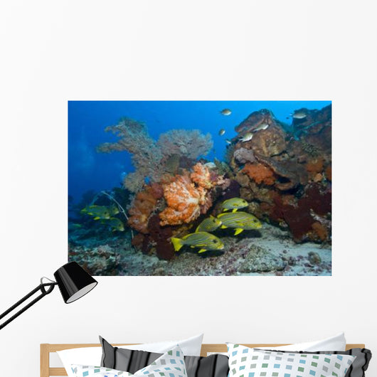 Colorful Reef Scene with Wall Decal Design 1