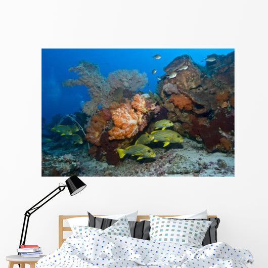 Colorful Reef Scene with Wall Decal Design 1