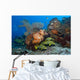 Colorful Reef Scene with Wall Decal Design 1