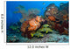 Colorful Reef Scene with Wall Decal Design 1