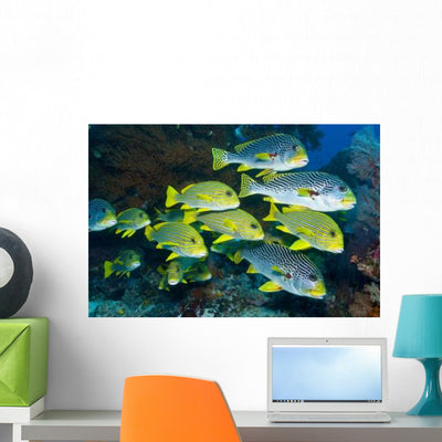 Yellow and Blue Striped Wall Decal Design 2 shown on a wall