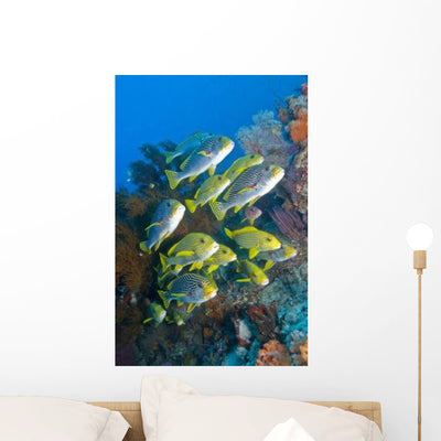 Yellow and Blue Striped Wall Decal Design 1 shown on a wall