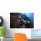 Colorful Reef Scene with Wall Decal