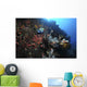 Colorful Reef Scene with Wall Decal