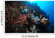 Colorful Reef Scene with Wall Decal