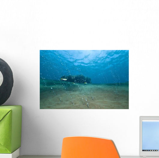 Bubbles from Volcanic Activity Wall Decal