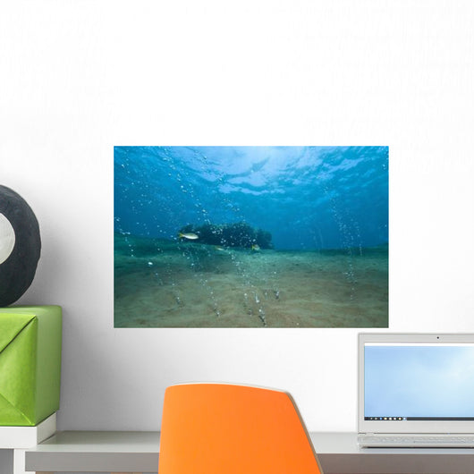 Bubbles from Volcanic Activity Wall Decal