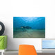 Bubbles from Volcanic Activity Wall Decal