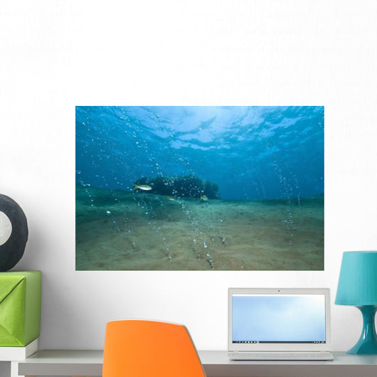 Bubbles from Volcanic Activity Wall Decal