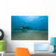 Bubbles from Volcanic Activity Wall Decal