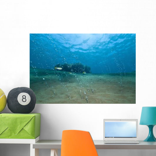 Bubbles from Volcanic Activity Wall Decal