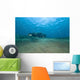 Bubbles from Volcanic Activity Wall Decal