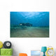 Bubbles from Volcanic Activity Wall Decal