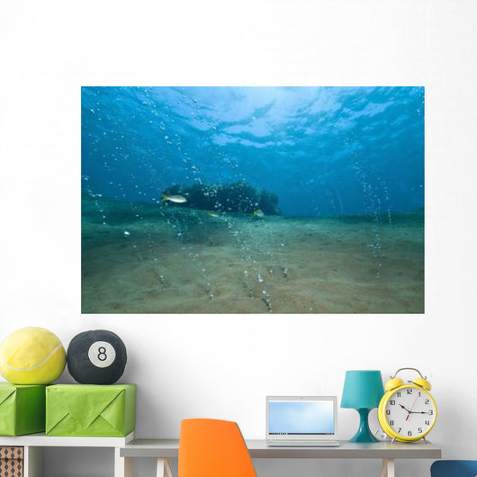 Bubbles from Volcanic Activity Wall Decal