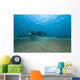 Bubbles from Volcanic Activity Wall Decal