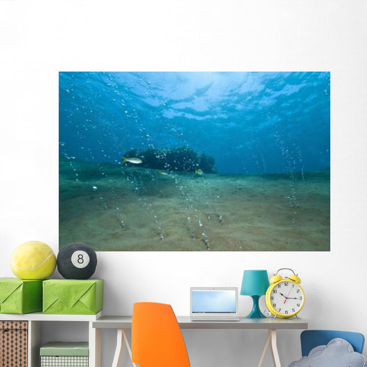 Bubbles from Volcanic Activity Wall Decal