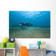 Bubbles from Volcanic Activity Wall Decal