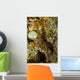 Brown Shrimp Blending Komodo Wall Decal