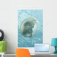 Translucent Jellyfish Floating near Wall Decal