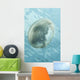 Translucent Jellyfish Floating near Wall Decal