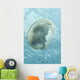 Translucent Jellyfish Floating near Wall Decal