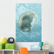 Translucent Jellyfish Floating near Wall Decal