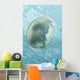 Translucent Jellyfish Floating near Wall Decal